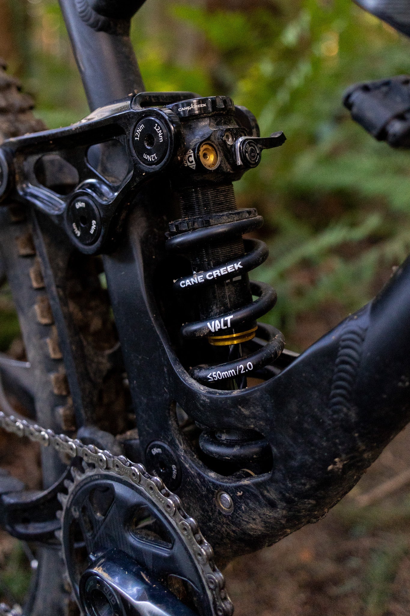 Cane Creek Tigon on Banshee Frame