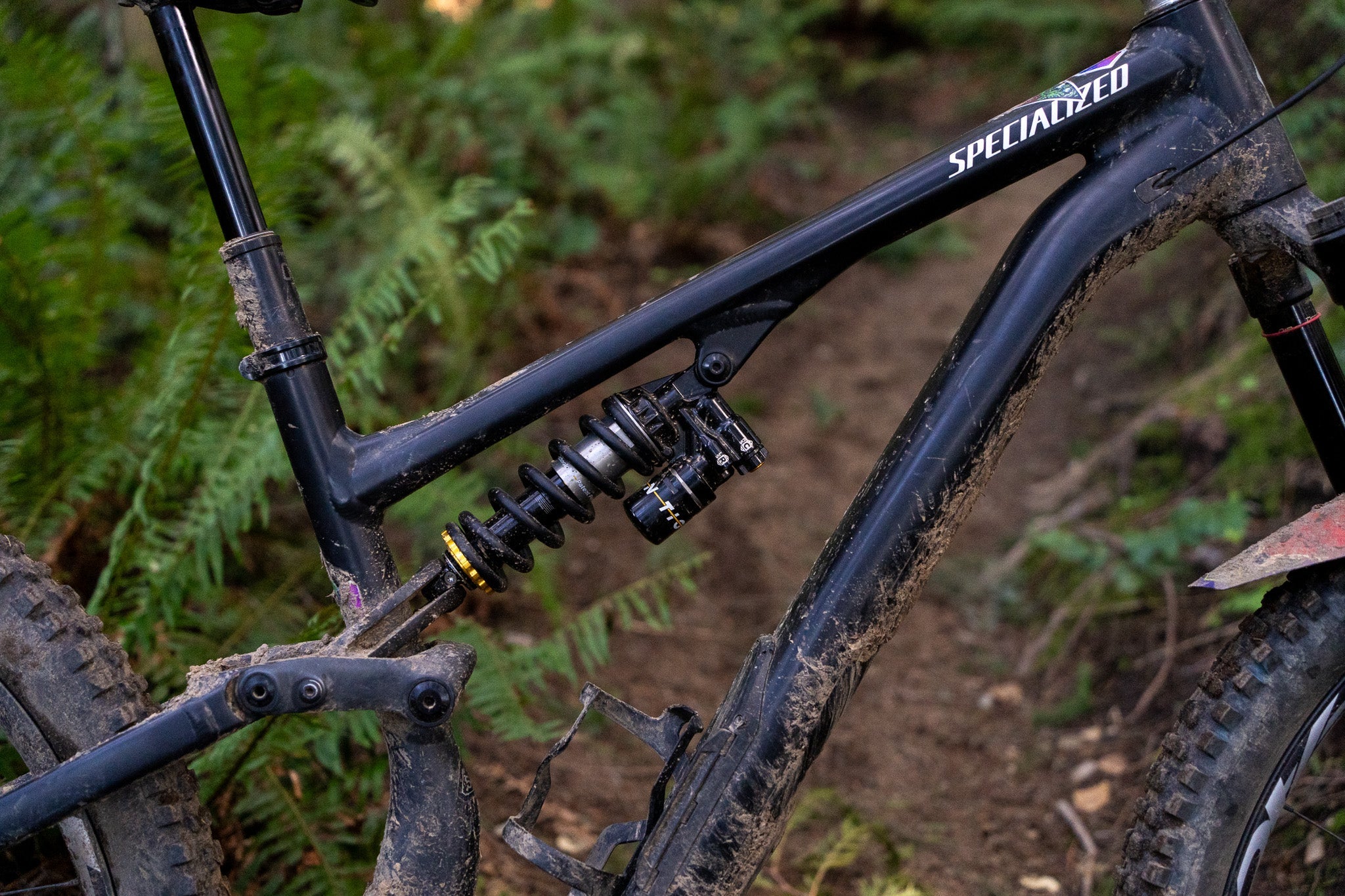 Cane Creek Tigon on a Specialized Stumpjumper 15