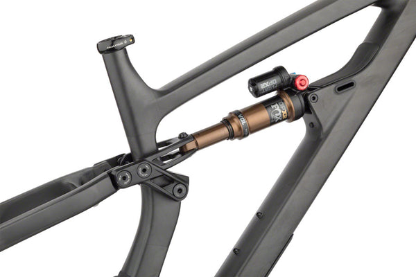 Salsa Blackthorn Carbon Frame - Carbon Raw X-Large