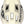 Bluegrass Vanguard Core MIPS Helmet - Black/White Large