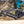 Intense Tracer 279 Frame, Blue