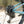 Intense 951 XC Large Blue - Refurbished