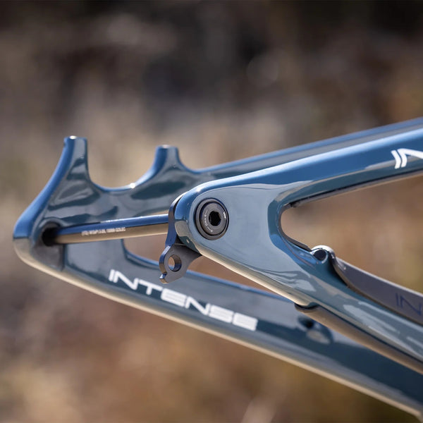 Intense Primer 29 Frame