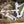 Intense Tracer 29 Frame, Pearl White