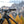 Intense Tracer 29 Expert, DVO