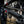 Intense Tracer 29 Expert, DVO