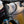 Intense Tracer 279 Expert
