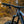 Intense Tracer 29 Expert, DVO