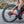 Fulcrum WIND 55 DB Rear Wheel - 700 12 x 142mm Center-Lock HG 11 BLK 2-Way Fit