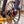 Wolf Tooth Centerlock Rotor Lockring - Internal Splined Orange