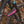 Mucky Nutz Face Fender - Magenta