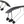 Topeak Tetrafender M1 and M2 Fender Set -Strap-on  Front and Rear Black
