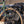 Topeak TetraRack R1 Front Rack Gravel/Road - Fork Blade Strap Mount  QuickTrack Compatible BLK